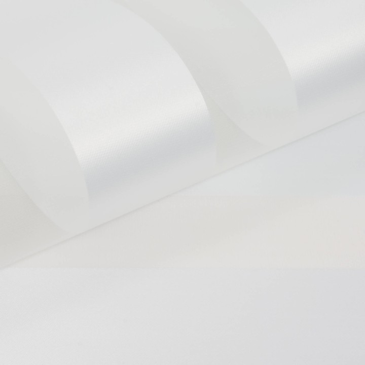 Roleta Mini Dzień Noc Przyciemniająca Olivia Olivia 01