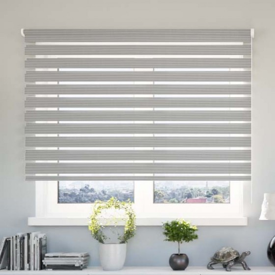 Wall mounted blind Day-Night Bahama XXIII Srebro Paseczki BH2308