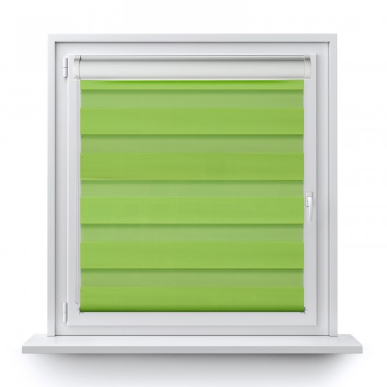 Roller blind in PVC cassette with guide Day-Night Classic green AG312