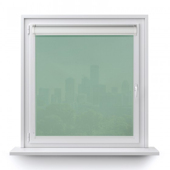 Roller blind in PVC cassette green 528