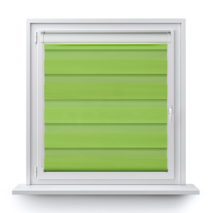 Roleta w kasecie PCV Dzień Noc Przyciemniająca Classic z prowadnicą Zielona Ag312
