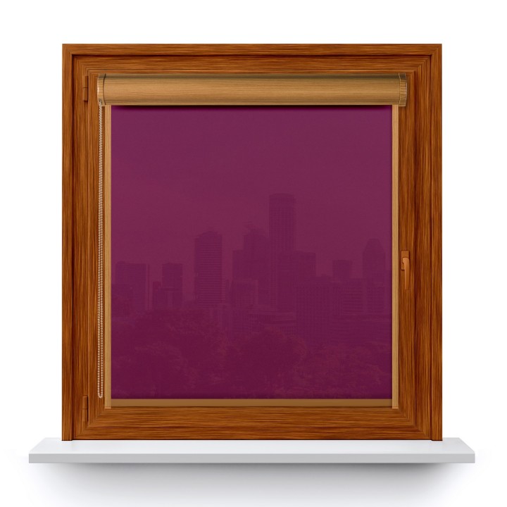 Roleta w kasecie PCV Dzień Noc Zaciemniająca Margaret z prowadnicą Biała Mrg 1