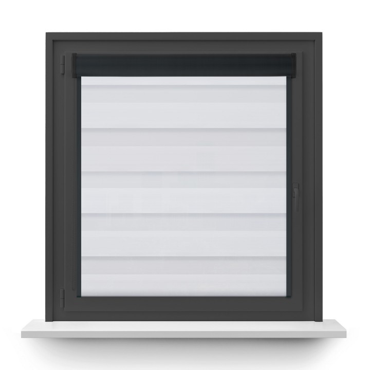 Roleta w kasecie PCV Dzień Noc Przyciemniająca Forest z prowadnicą Biała 9201