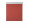 Burgund 503