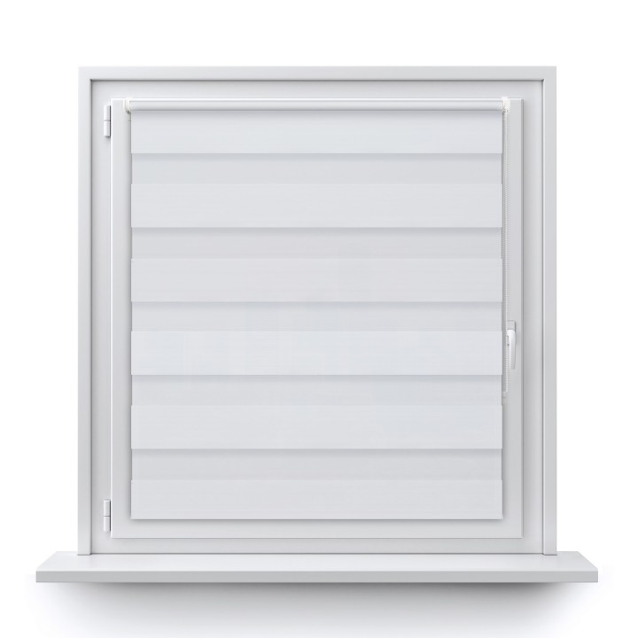 Roleta Mini Dzień Noc Przyciemniająca Forest Biała 9201