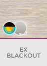 Ex Blackout	Screen II