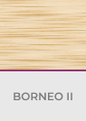 Borneo II