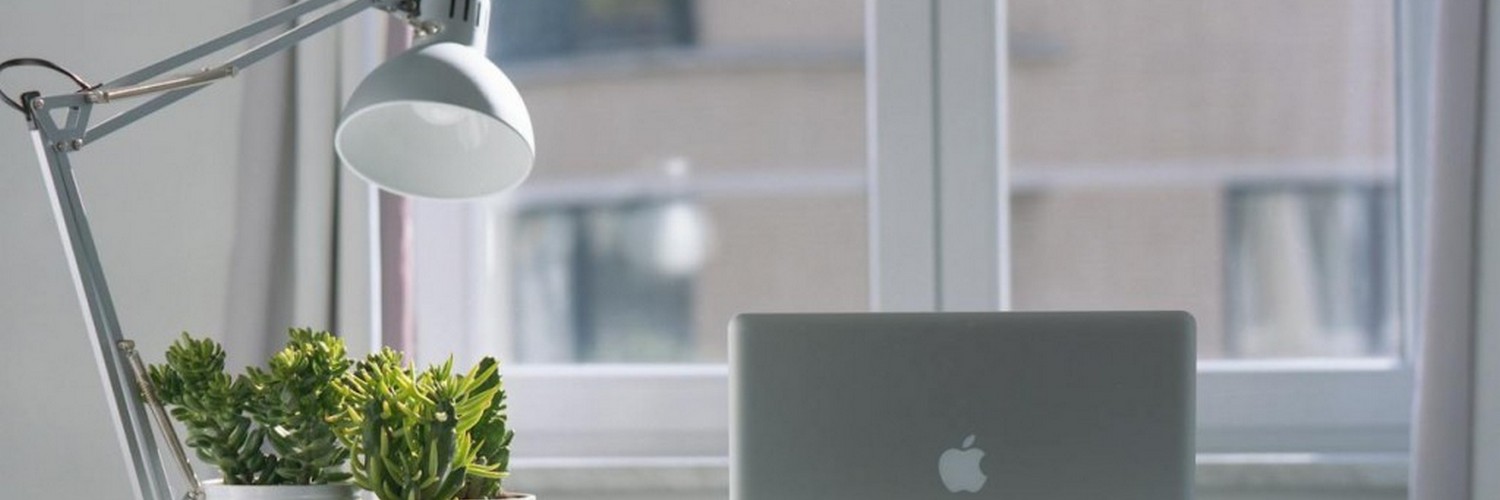 Rolety na okna czy żaluzje? Trendy na 2024