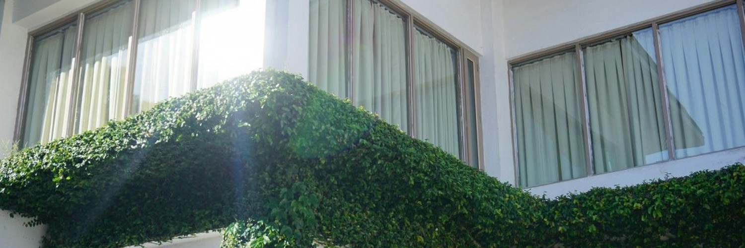 Jaki rodzaj rolet jest najlepszy? Odkryj idealne rozwiązanie do Twojego domu