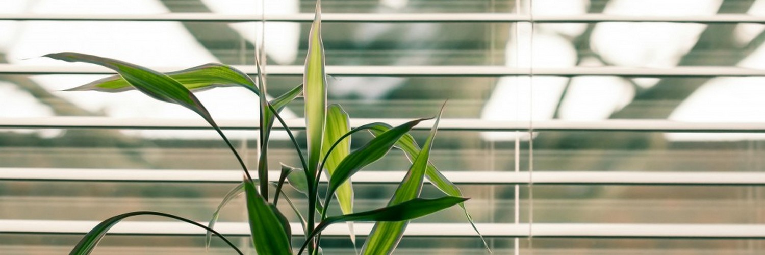 Żaluzje wewnętrzne i zewnętrzne – praktyczne aspekty stosowania