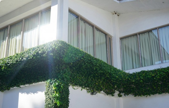 Jaki rodzaj rolet jest najlepszy? Odkryj idealne rozwiązanie do Twojego domu