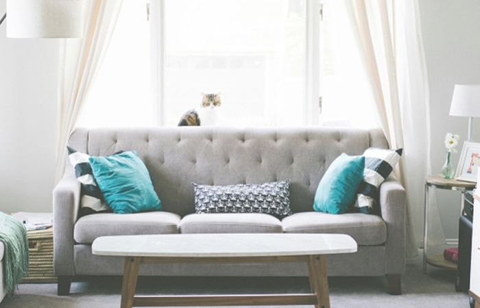 Plisy zaciemniające - dlaczego warto rozważyć ich zakup?