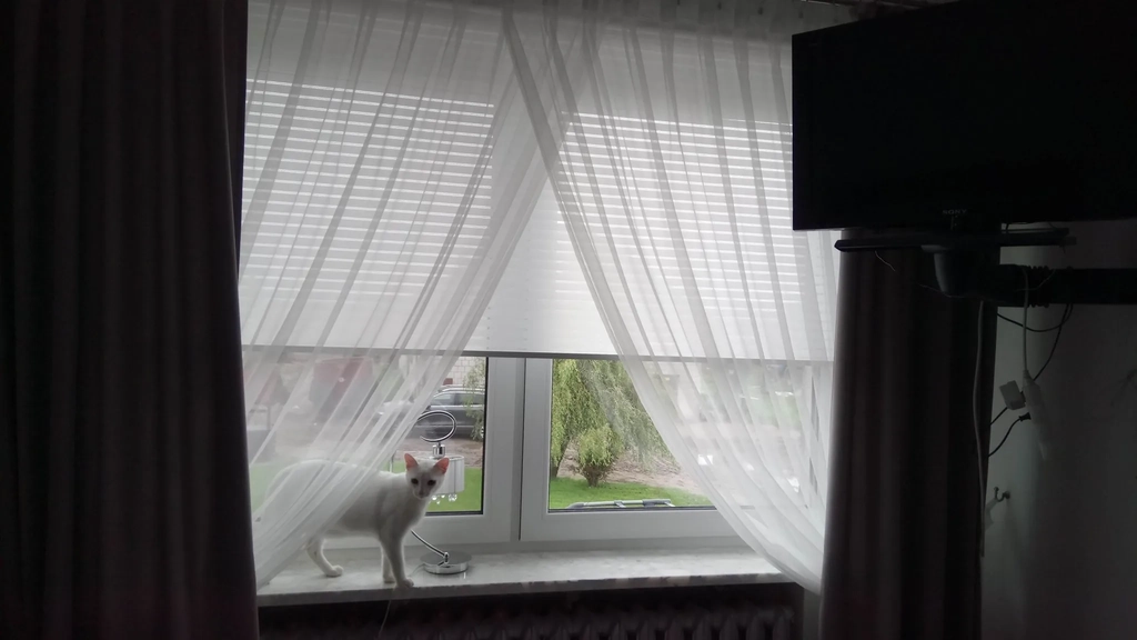 Roleta Wolnowisząca EX Ice&White