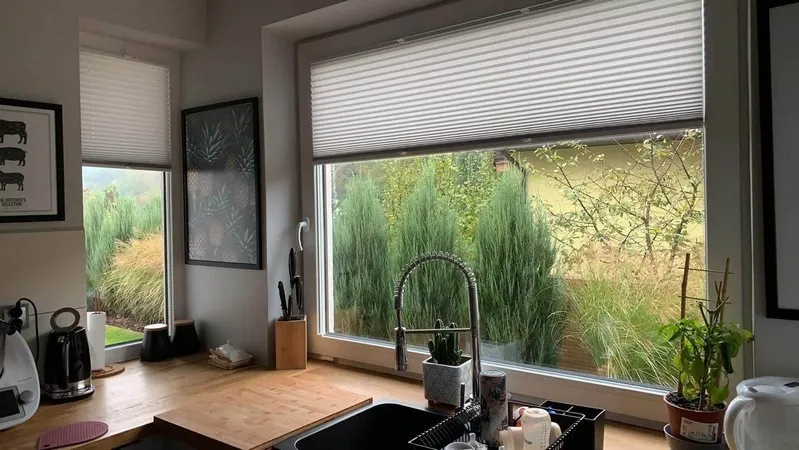 Plisa Inwazyjna Basic 102 Platyna